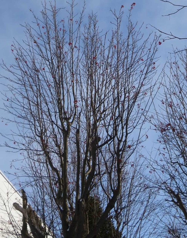 f:id:atarou:20190103065346j:image f:id:atarou:20190103065346j:image
