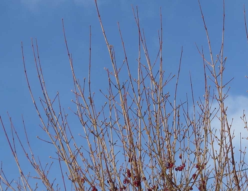 f:id:atarou:20190103070427j:image f:id:atarou:20190103070427j:image
