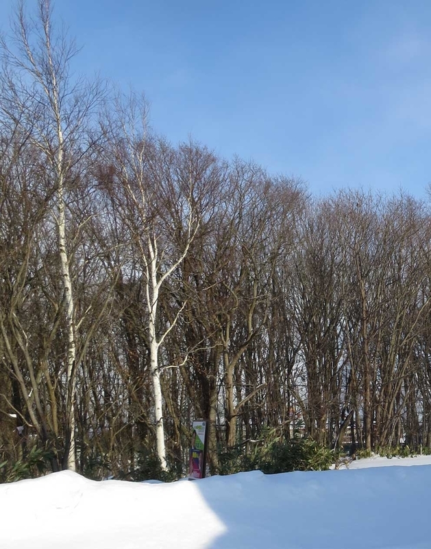f:id:atarou:20190103070501j:image f:id:atarou:20190103070501j:image