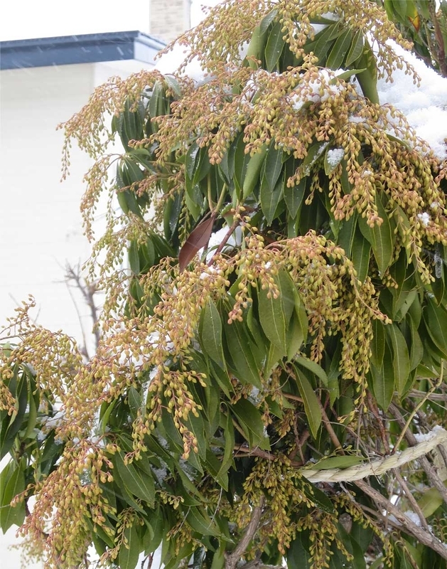 f:id:atarou:20190104064243j:image f:id:atarou:20190104064243j:image