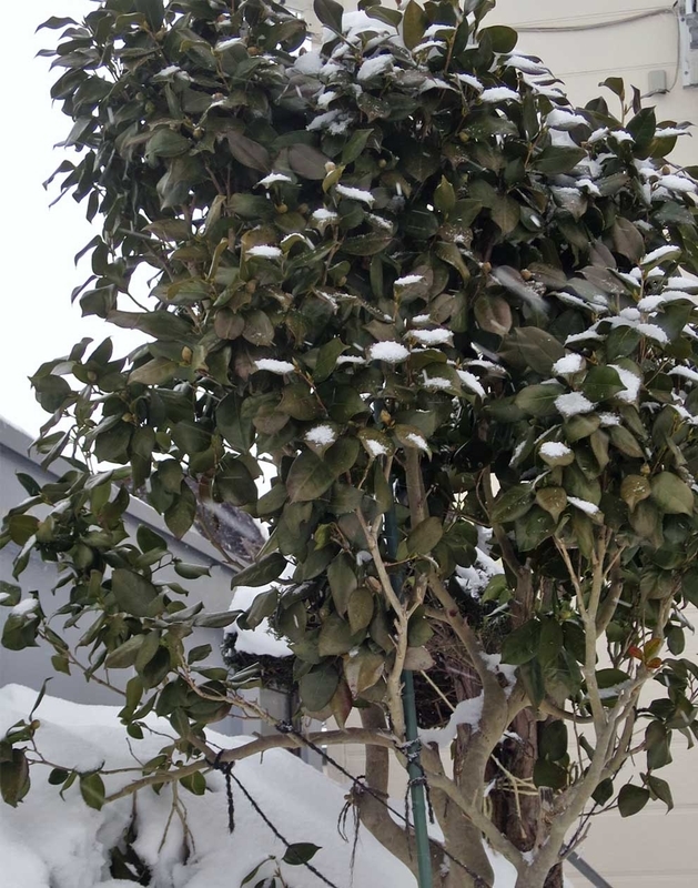 f:id:atarou:20190104070622j:image f:id:atarou:20190104070622j:image