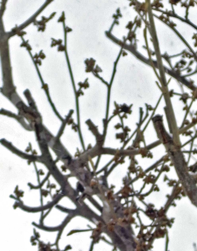 f:id:atarou:20190104070654j:image f:id:atarou:20190104070654j:image