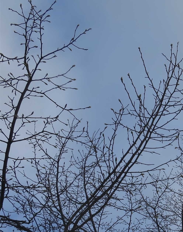 f:id:atarou:20190105065334j:image