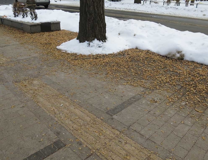 f:id:atarou:20190105065808j:image