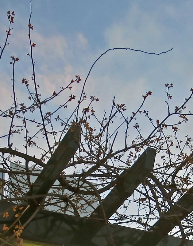 f:id:atarou:20190105070718j:image