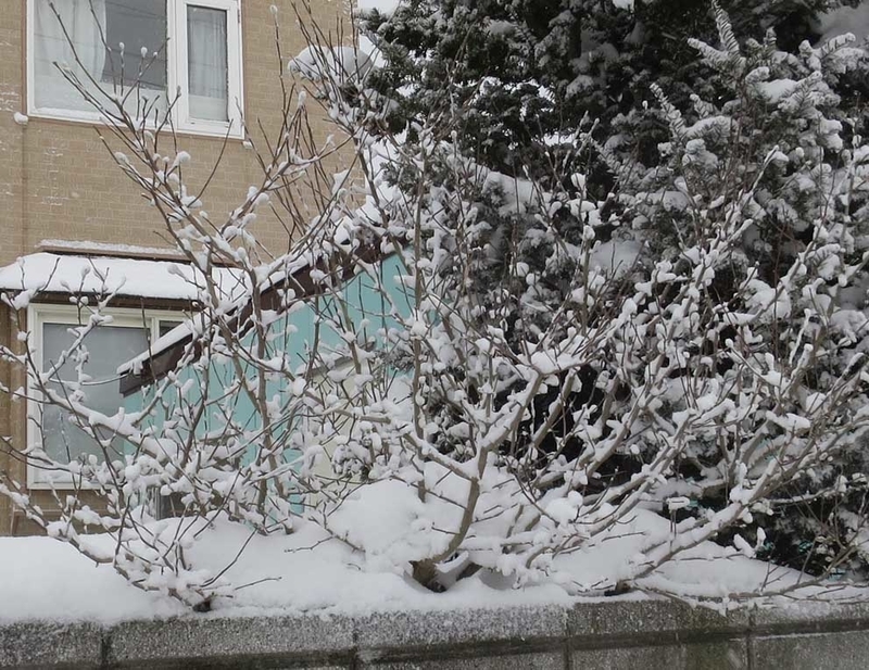 f:id:atarou:20190106070743j:image