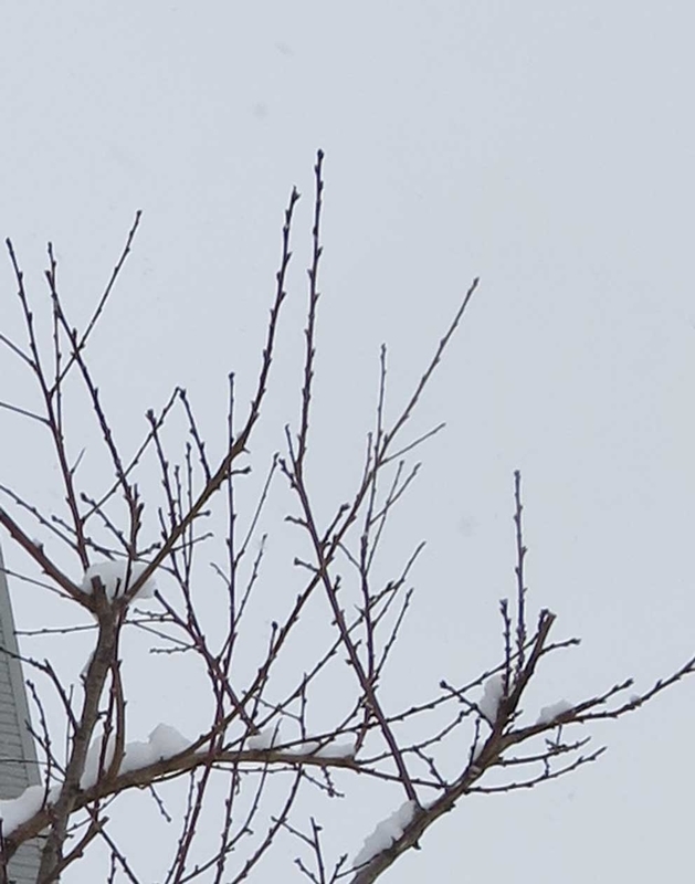 f:id:atarou:20190108065749j:image