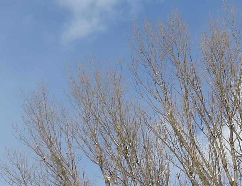 f:id:atarou:20190109070159j:image