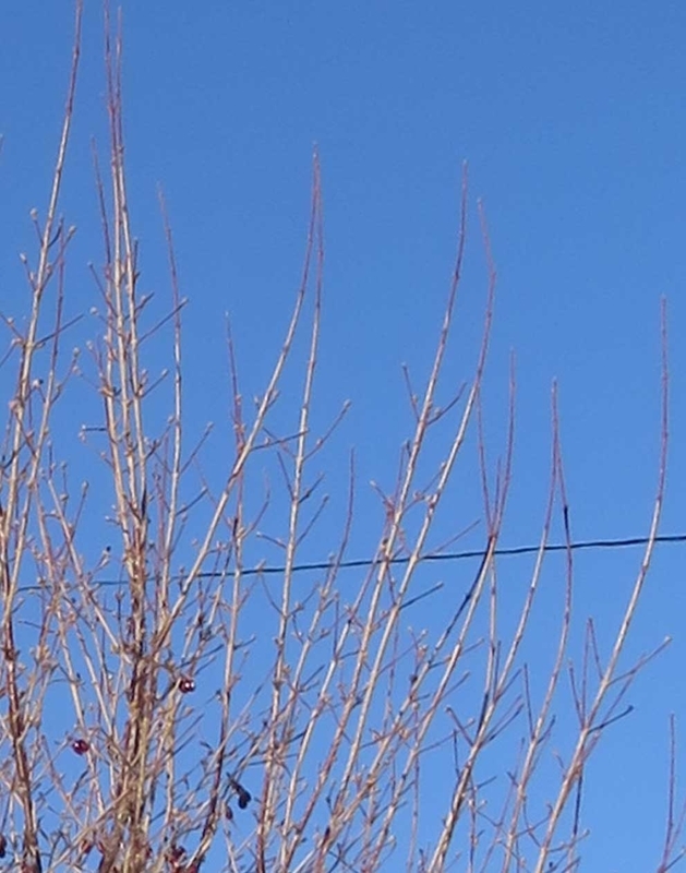 f:id:atarou:20190110070647j:image