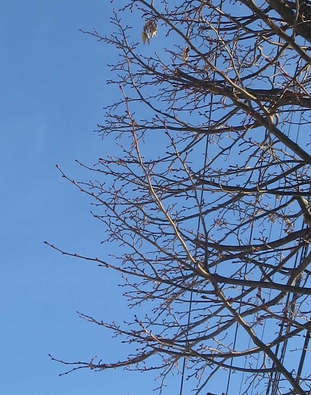 f:id:atarou:20190110071924j:image