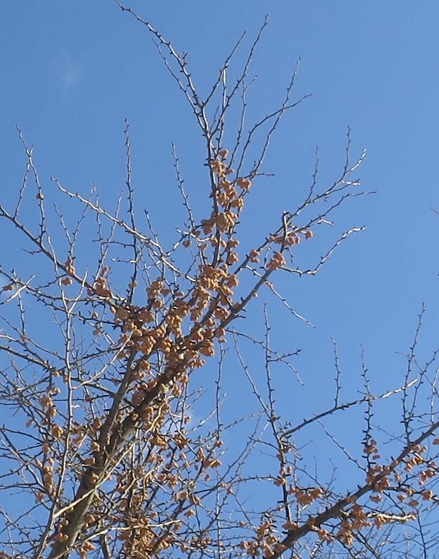 f:id:atarou:20190111072405j:image f:id:atarou:20190111072405j:image