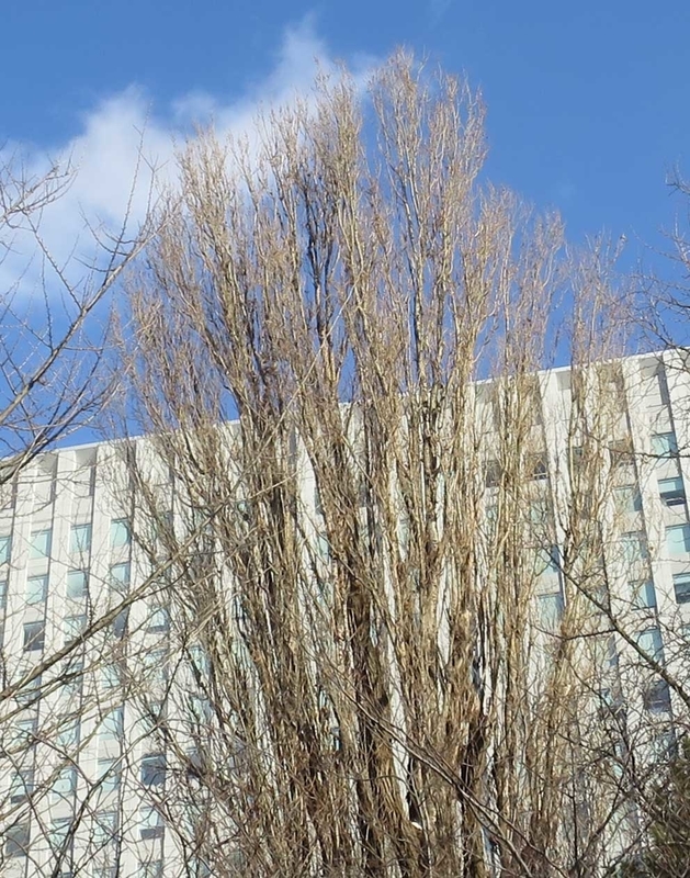 f:id:atarou:20190111072619j:image f:id:atarou:20190111072619j:image