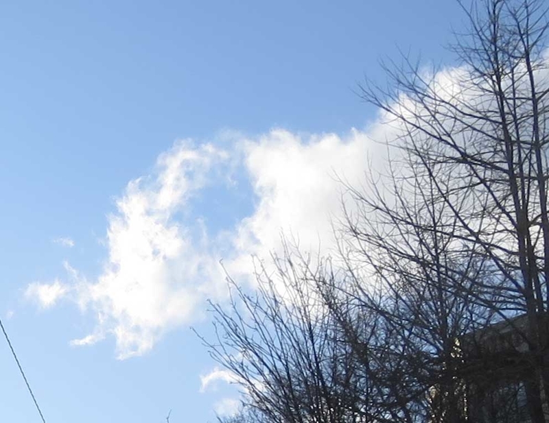 f:id:atarou:20190111072847j:image f:id:atarou:20190111072847j:image