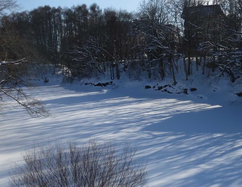 f:id:atarou:20190114071053j:image f:id:atarou:20190114071053j:image