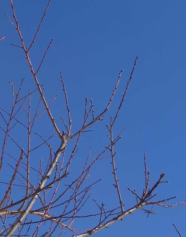 f:id:atarou:20190115071536j:image