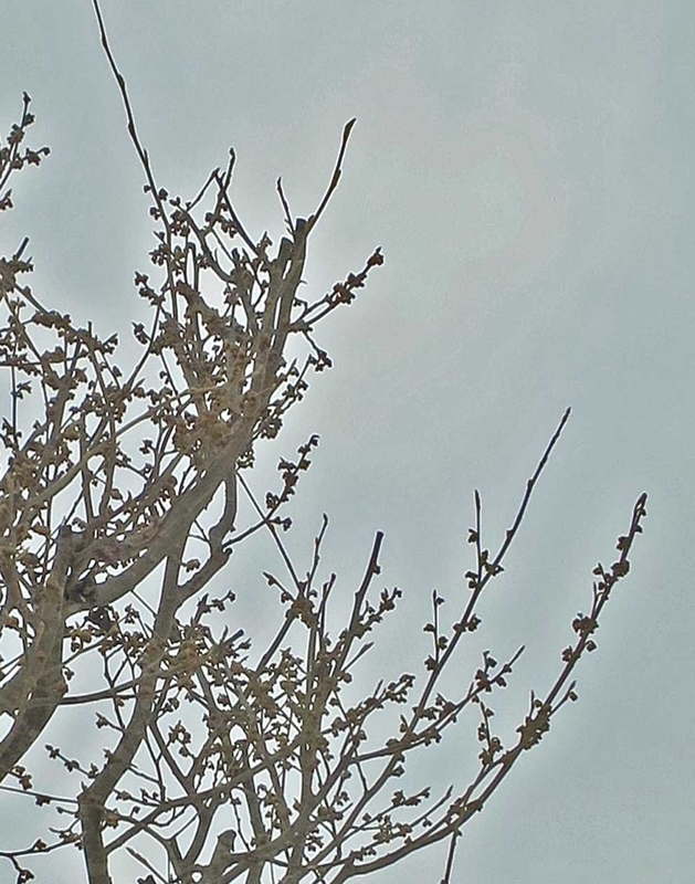 f:id:atarou:20190116072554j:image