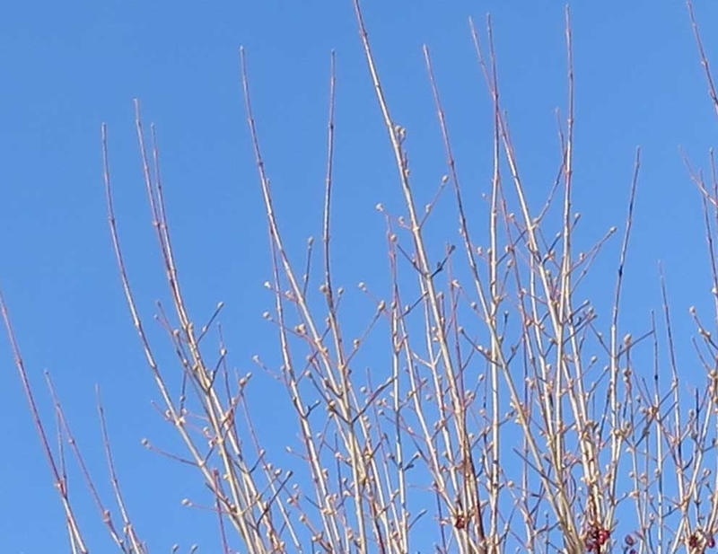 f:id:atarou:20190117081751j:image