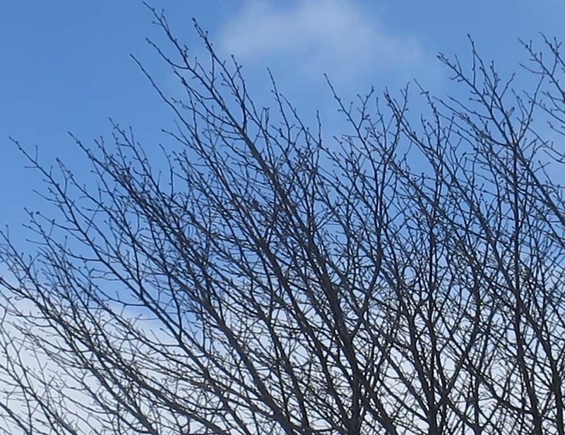 f:id:atarou:20190117082625j:image