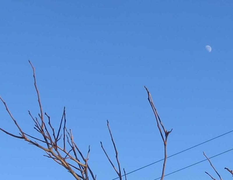 f:id:atarou:20190117083539j:image
