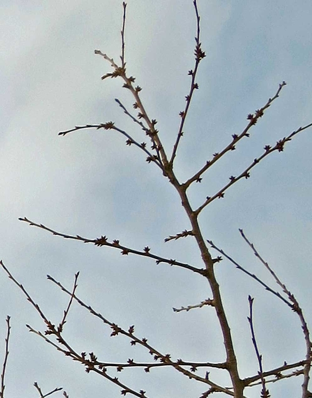 f:id:atarou:20190121064733j:image f:id:atarou:20190121064733j:image