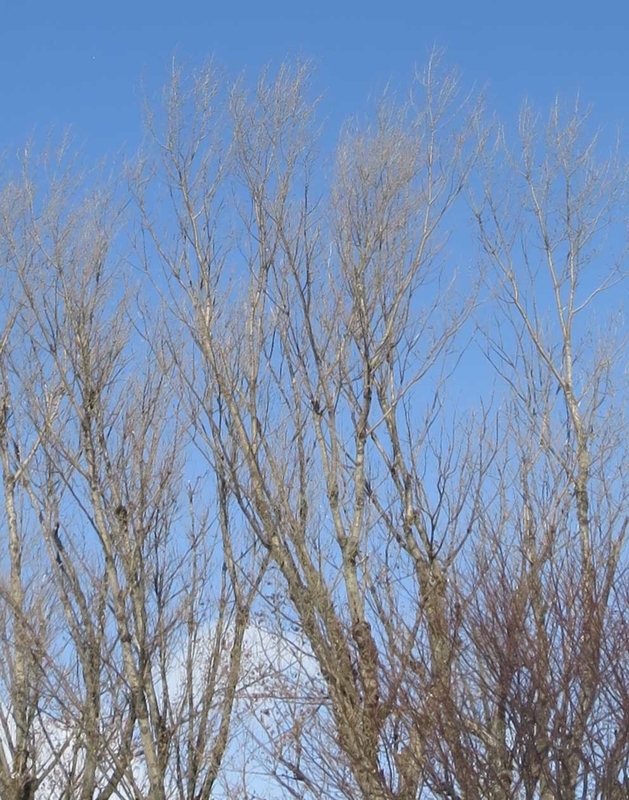 f:id:atarou:20190122070052j:image
