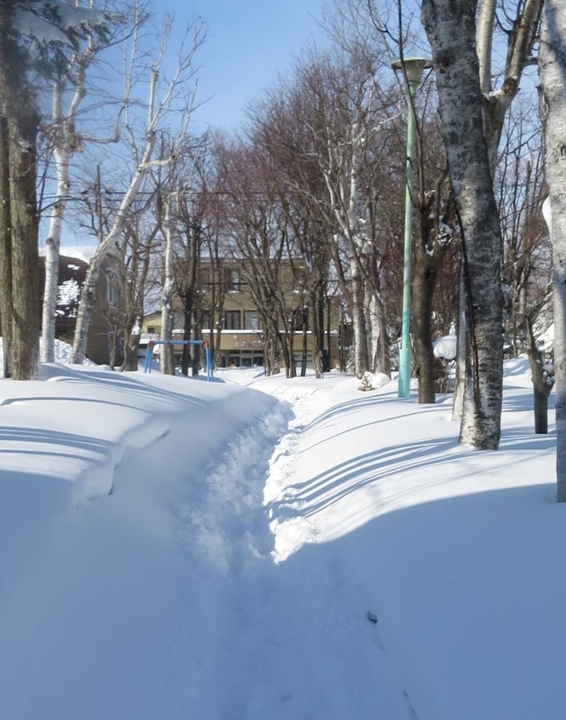 f:id:atarou:20190122070056j:image