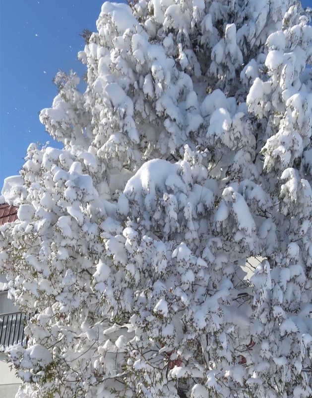 f:id:atarou:20190122071056j:image