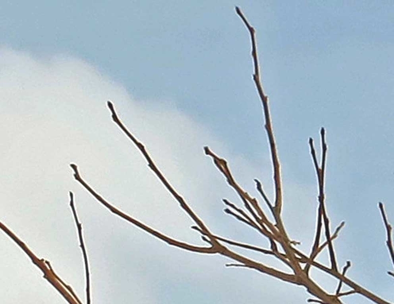 f:id:atarou:20190124073411j:image