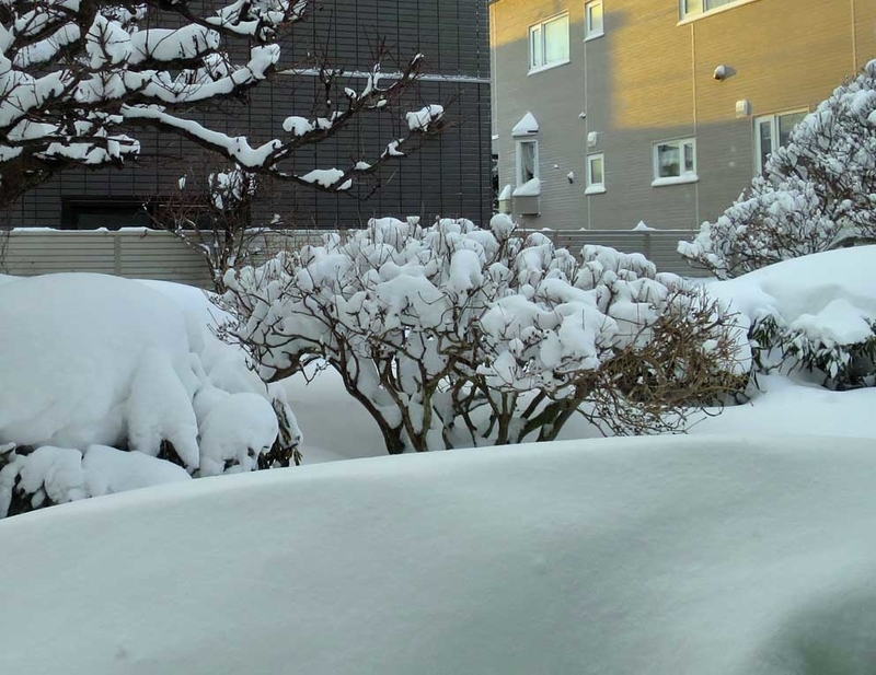 f:id:atarou:20190124073814j:image