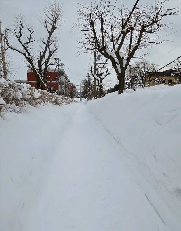 f:id:atarou:20190125063604j:image
