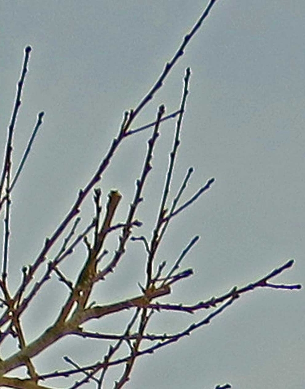 f:id:atarou:20190125065303j:image