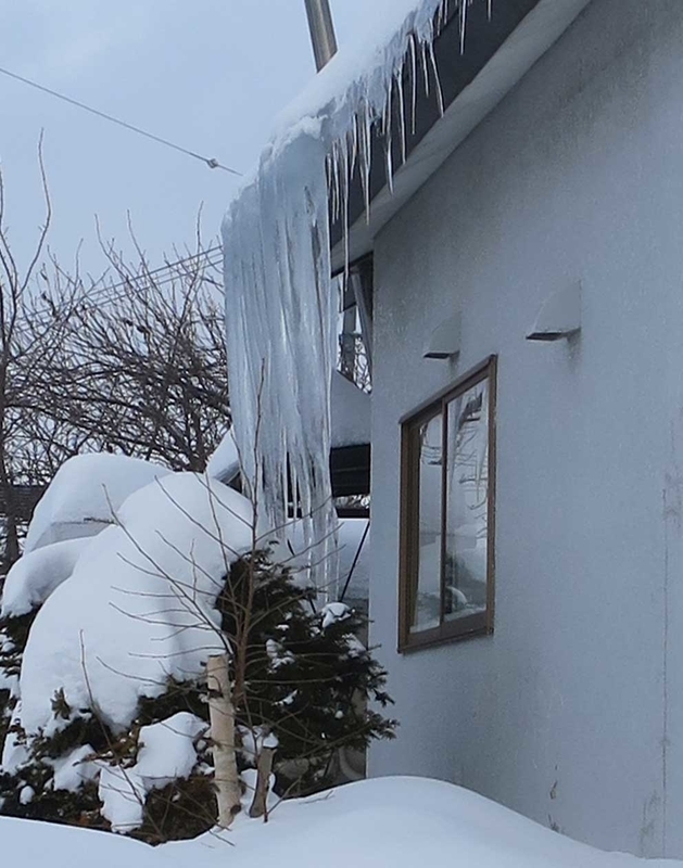 f:id:atarou:20190125070250j:image