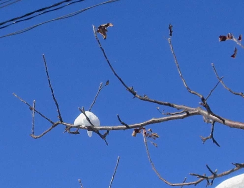 f:id:atarou:20190126065946j:image