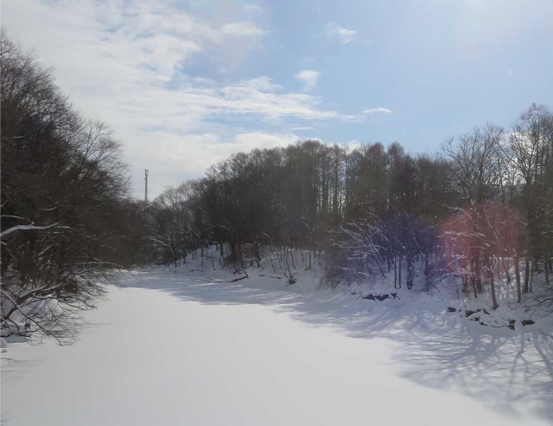 f:id:atarou:20190126070054j:image