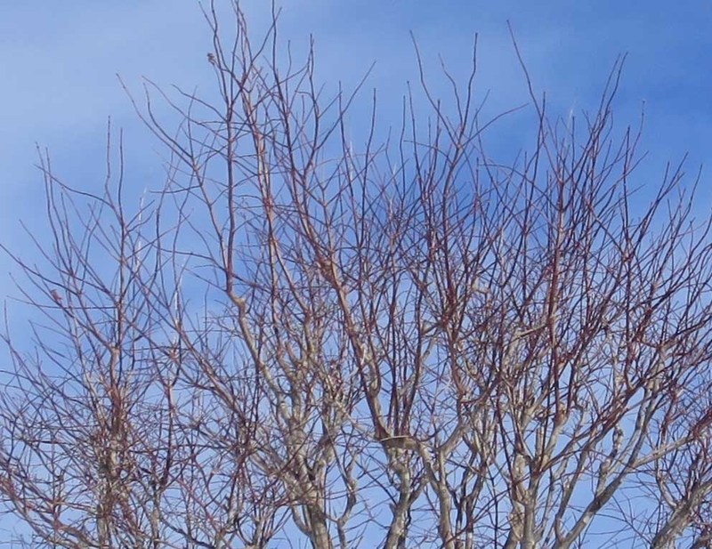 f:id:atarou:20190127071416j:image