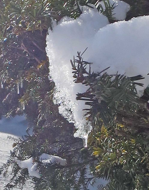f:id:atarou:20190127072531j:image