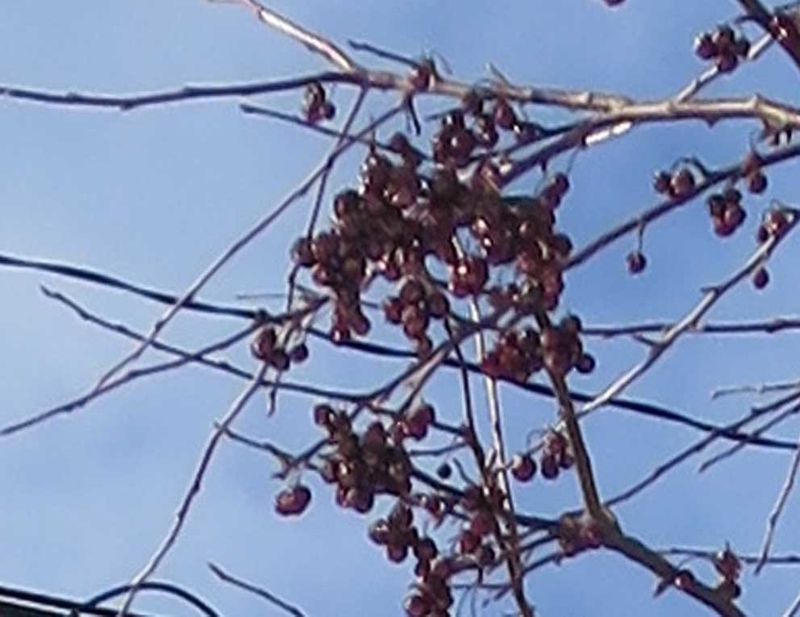 f:id:atarou:20190127073110j:image