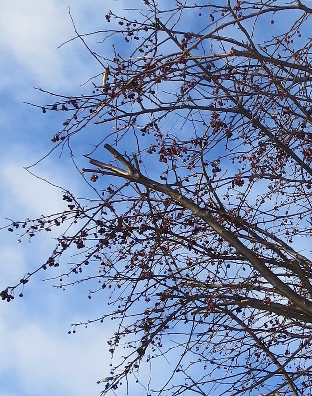 f:id:atarou:20190127073113j:image
