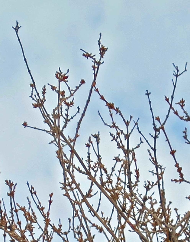 f:id:atarou:20190128070544j:image