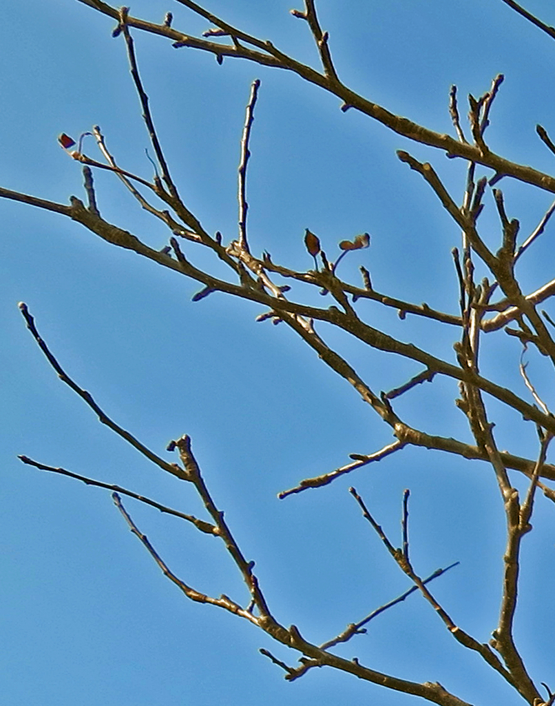 f:id:atarou:20190306071316j:plain f:id:atarou:20190306071316j:plain