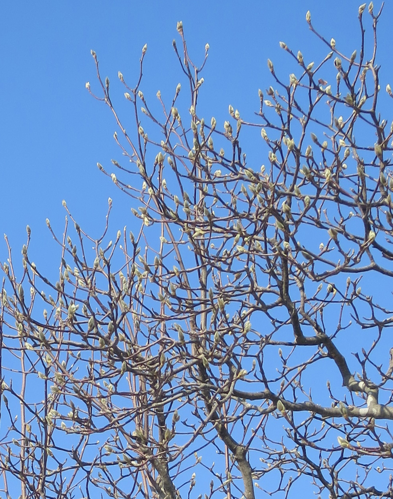 f:id:atarou:20190306071429j:plain f:id:atarou:20190306071429j:plain