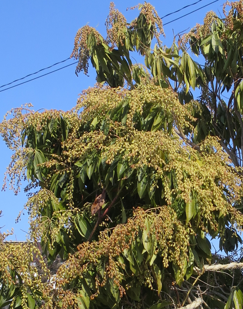 f:id:atarou:20190311065802j:plain