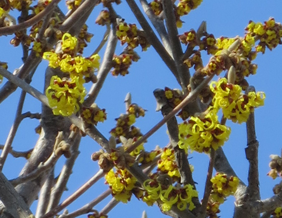 f:id:atarou:20190311070026j:plain