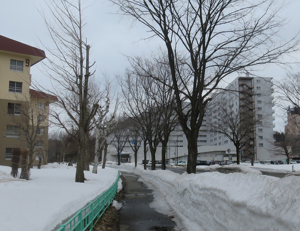 f:id:atarou:20190313064233j:plain