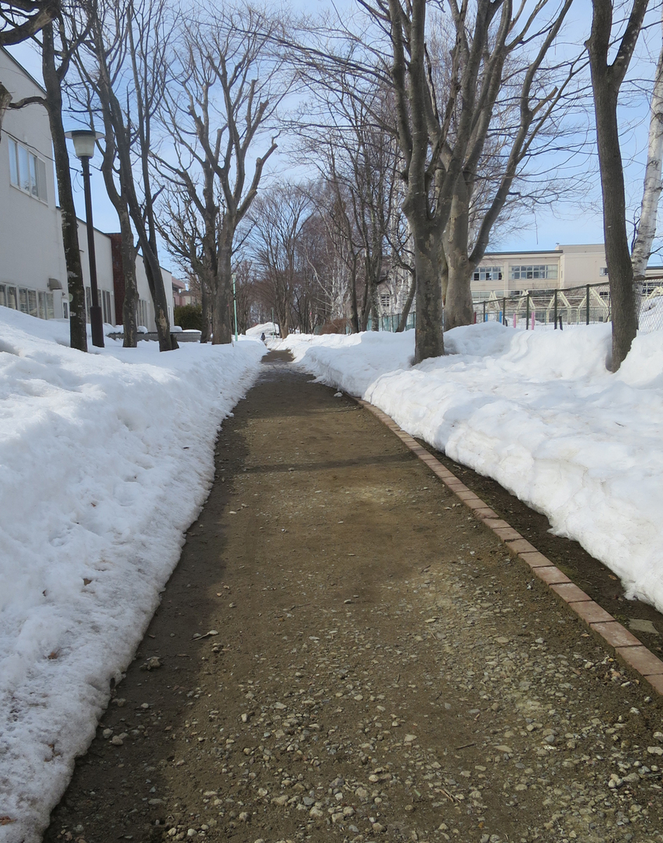 f:id:atarou:20190315065240j:plain