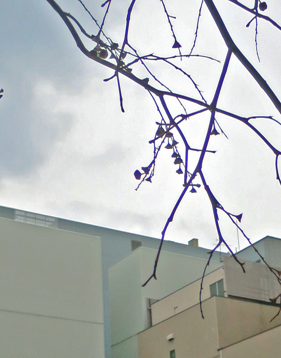 f:id:atarou:20190322065139j:plain
