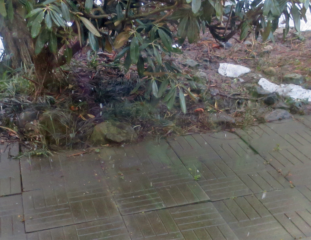 f:id:atarou:20190322065940j:plain