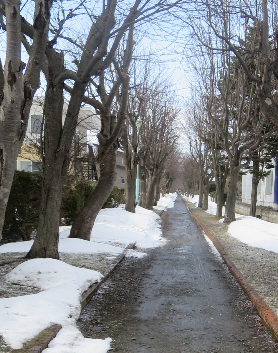 f:id:atarou:20190323070249j:plain