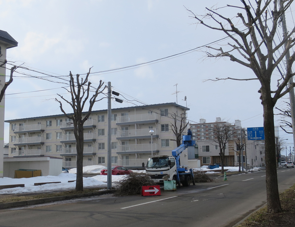 f:id:atarou:20190326065416j:plain