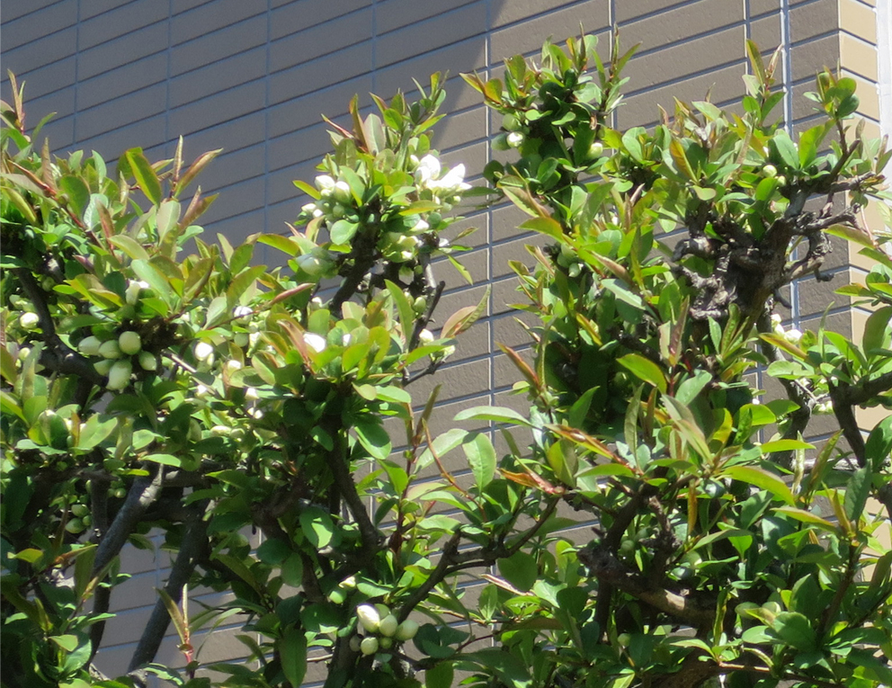 f:id:atarou:20190512064309j:plain f:id:atarou:20190512064309j:plain